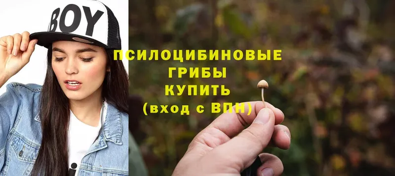 купить наркотики цена  Клин  Псилоцибиновые грибы Psilocybine cubensis 